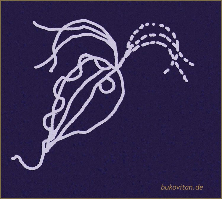 Trichomonaden BukoVitaN®