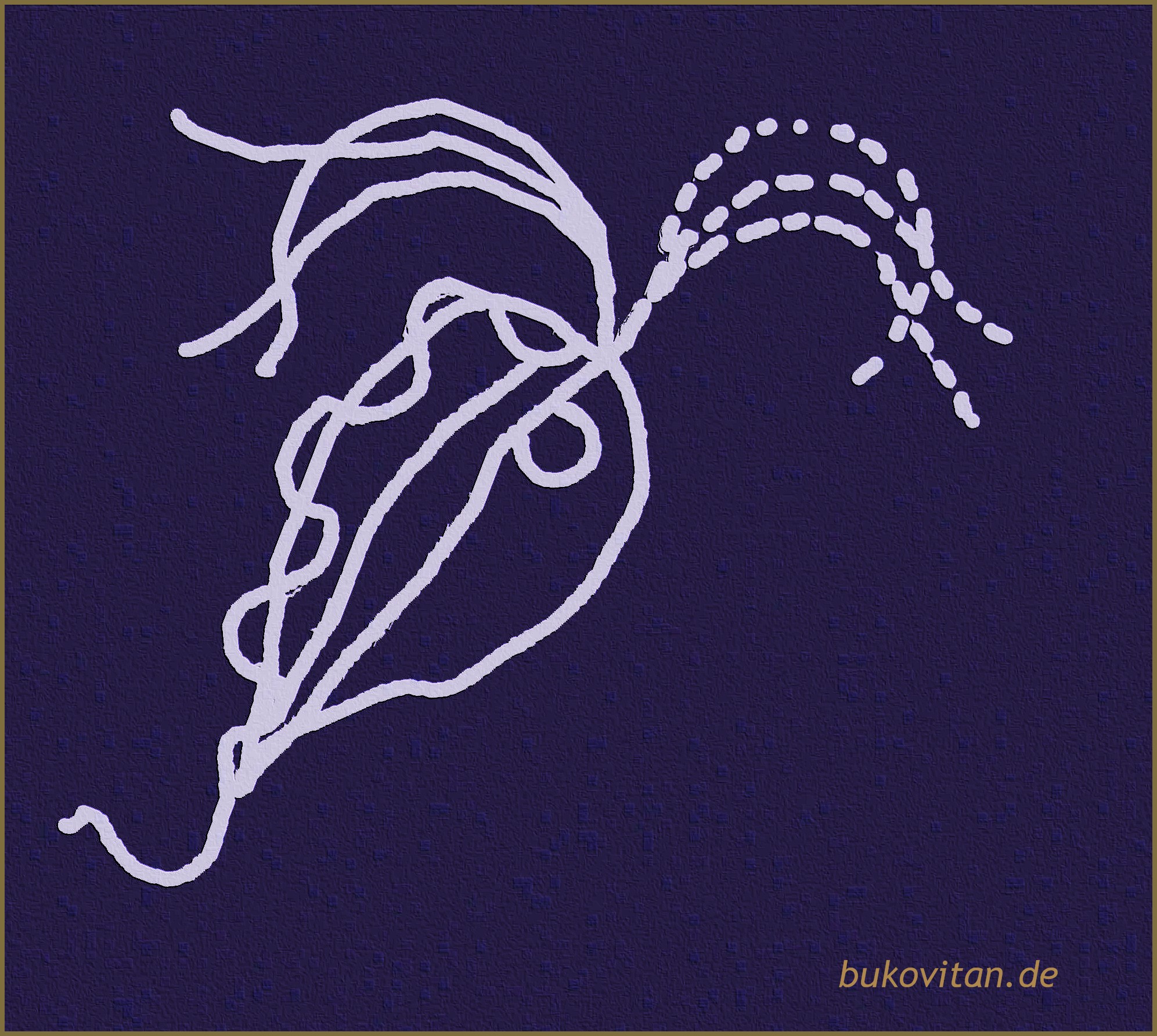 Trichomonaden BukoVitaN®