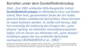 Willy Burgdorfer entdeckte Borrelia burgdorferi