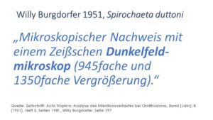 Spirochaeta duttoni im Dunkelfeld Willy Burgdorfer