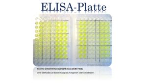 ELISA-Platte