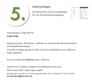 Analysebogen 