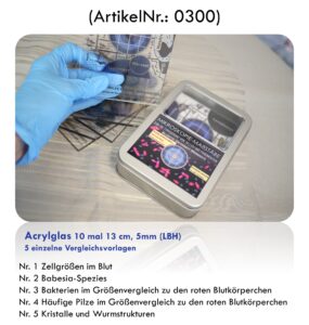 Hilfe bei der Erkennung mikroskopischer Strukturen