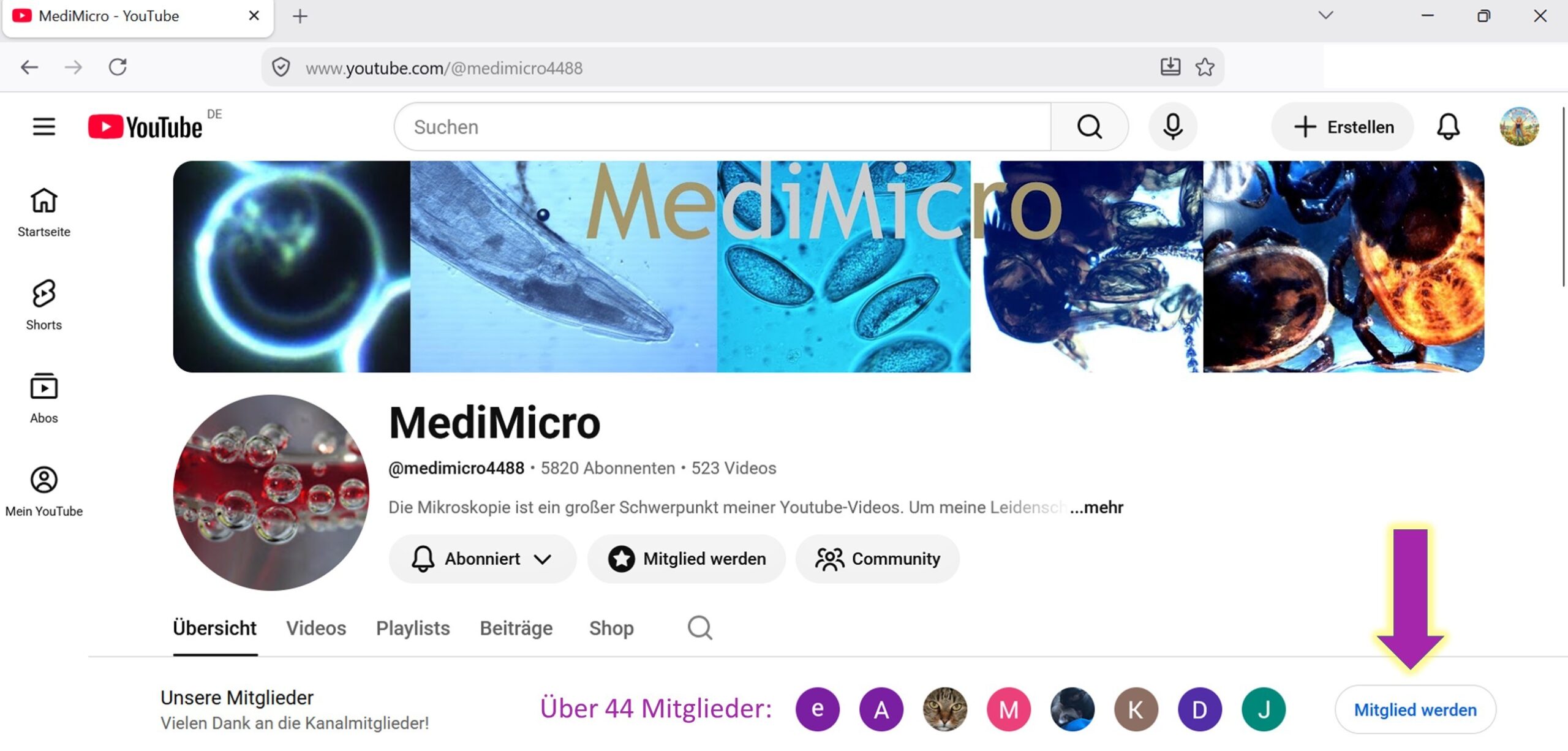 MediMicro Hauptkanal