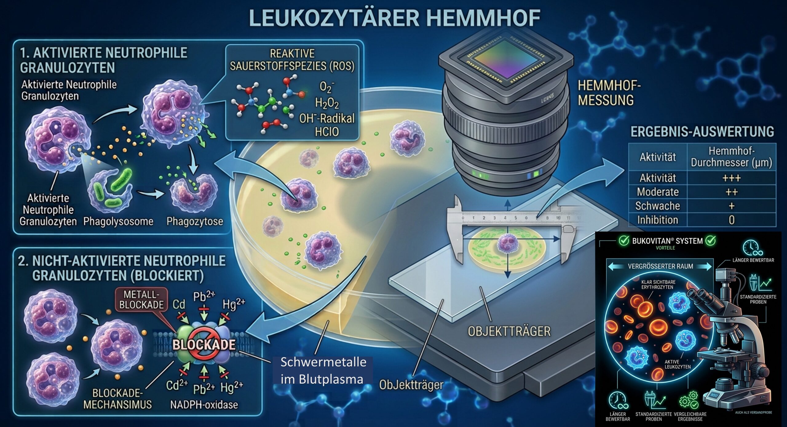 Hemmhof